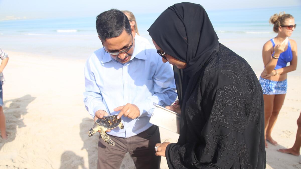 Dr Shaikha Al Dhaheri during the turtles release.Supplied photo