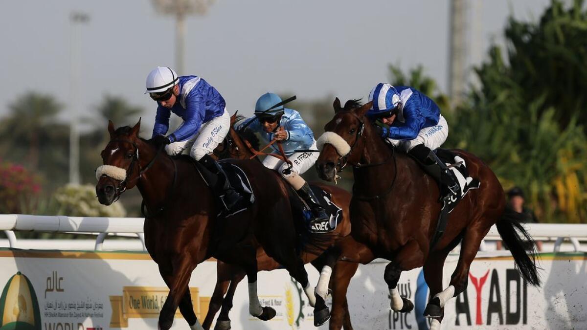 Horse racing: Emirates Championship highlights penultimate Abu Dhabi meeting