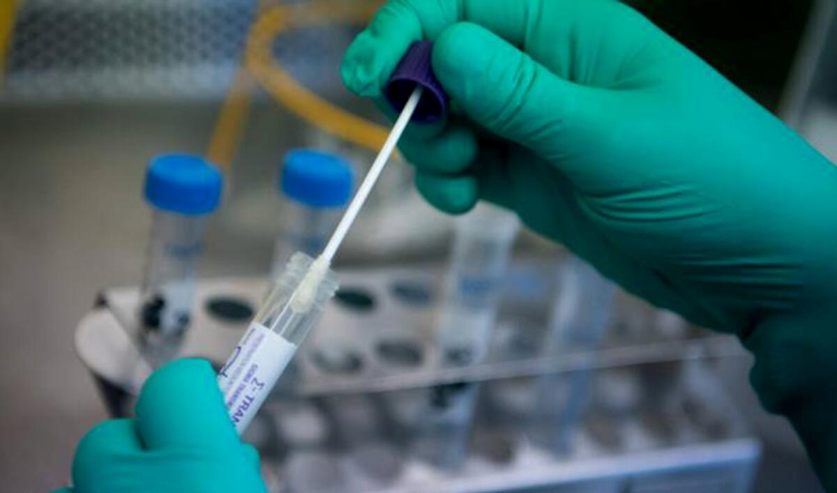 Coronavirus: UAE studies 522 Covid-19 instances, 539 recoveries, no deaths – Information