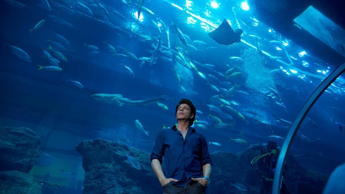 Video: Shah Rukh Khan gives love advice to couple in Dubai