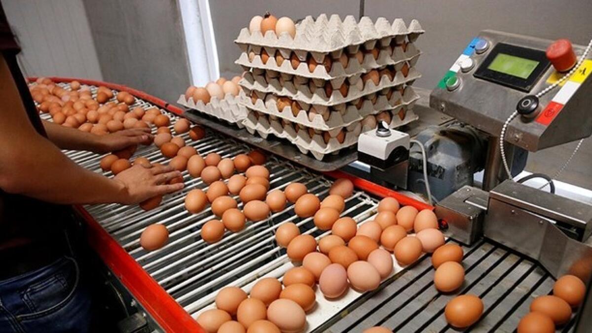 More tainted egg products found in Italy