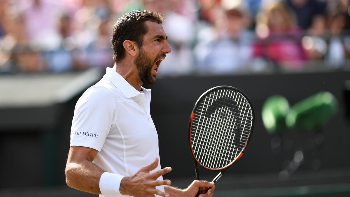 Cilic meets Querrey in the mens singles semifinal on Friday
