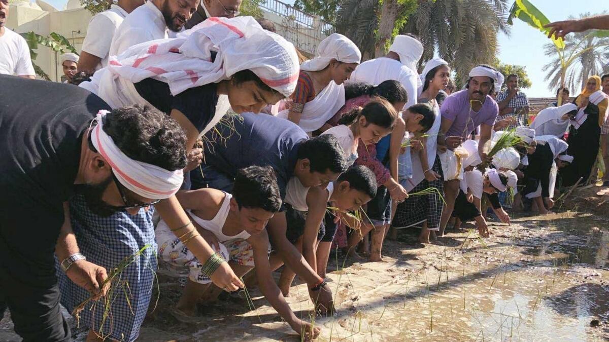 Children with conditions such as autism, blindness, Down syndrome, and developmental disorders had the time of their lives planting rice.- Supplied photo