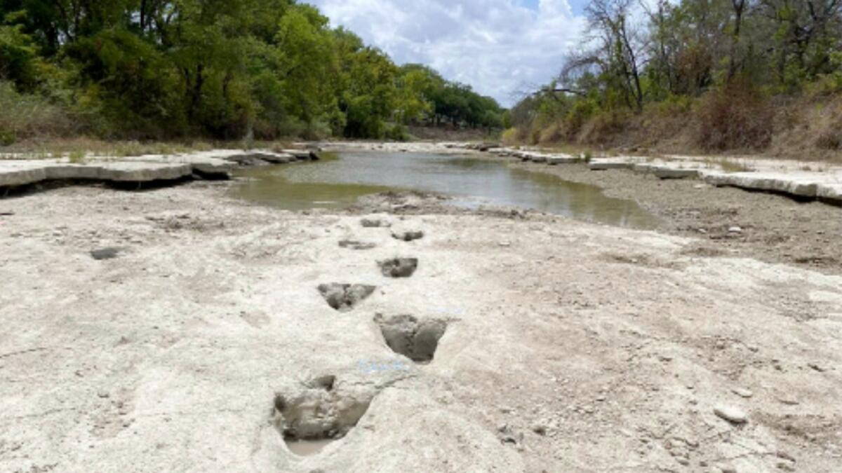 Image shows dinosaur tracks from around 113 million years ago, discovered in the Texas State Park after severe drought conditions dried up a river. — AFP