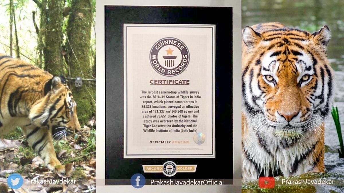 Tiger census, Global Tiger Day, Guinness World Record