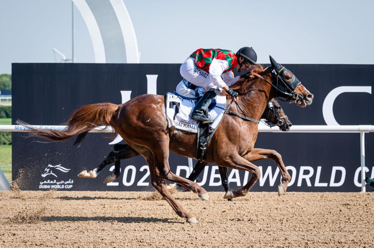 Hayyan, ridden by Oscar Chavez, wins the Dubai Kahayla Classic at Meydan on Saturday. — Photo by Neeraj Murali