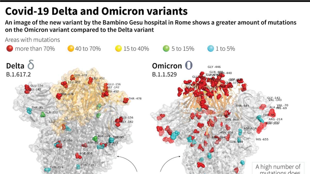 Images of the Delta and Omicron variants from the Bambino Gesu hospital in Rome, showing mutations compared to the original SARS CoV-2 spike. (Photo:AFP)