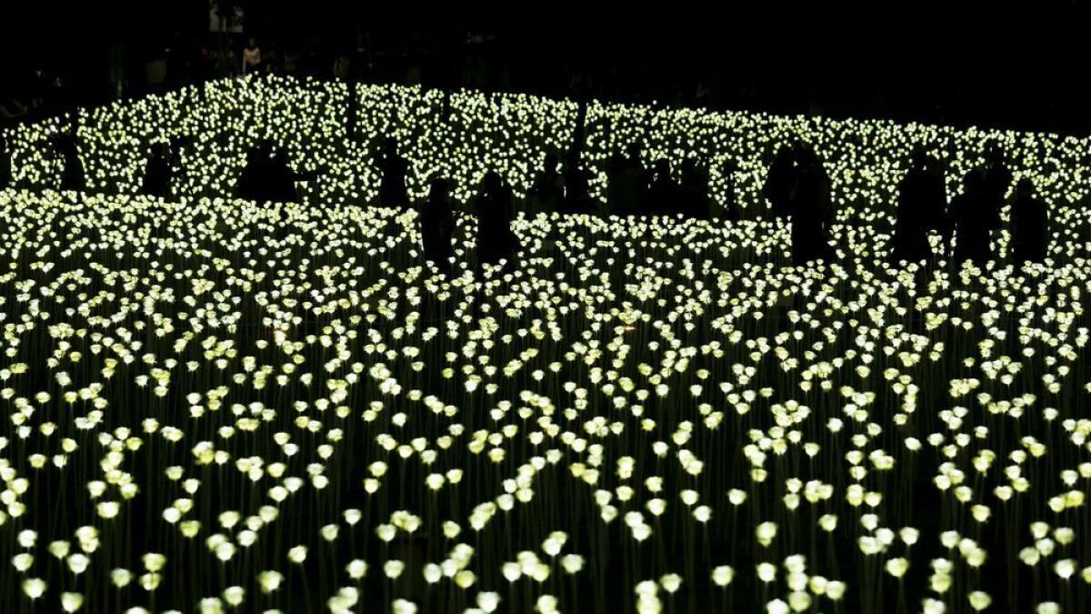 Hong Kong hosts Valentines Day with 25,000 LED roses