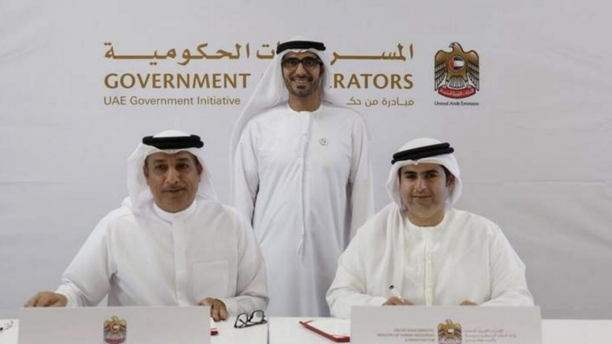 3,500 UAE job opportunities for Emiratis in next 100 days